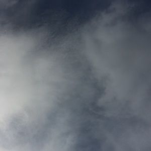 Meet your Posher, Loren